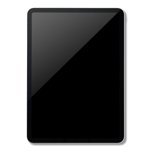 iPad Air Wi-Fiモデル（第4世代）
